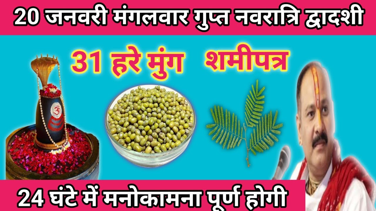 20 जनवरी माघ मंगलवार गुप्त नवरात्रि द्वादशी तिथि के दिन 31 हरे मुंग और शमीपत्र वाला उपाय जरुर करें।