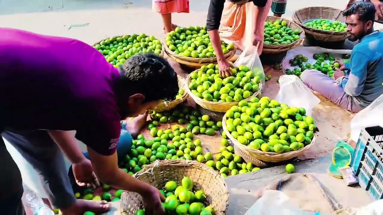 রোজ শনিবার আজকে 28 তারিখ মিরপুর 1 আরত কাচা বাজার