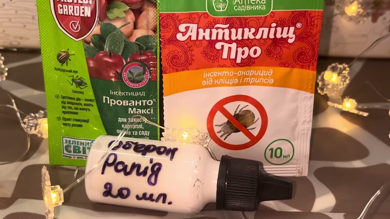 Шкідники на орхідеї. Борошнистий червець Чим обробити #орхідеї від шкідників? #orchid #phalaenopsis 