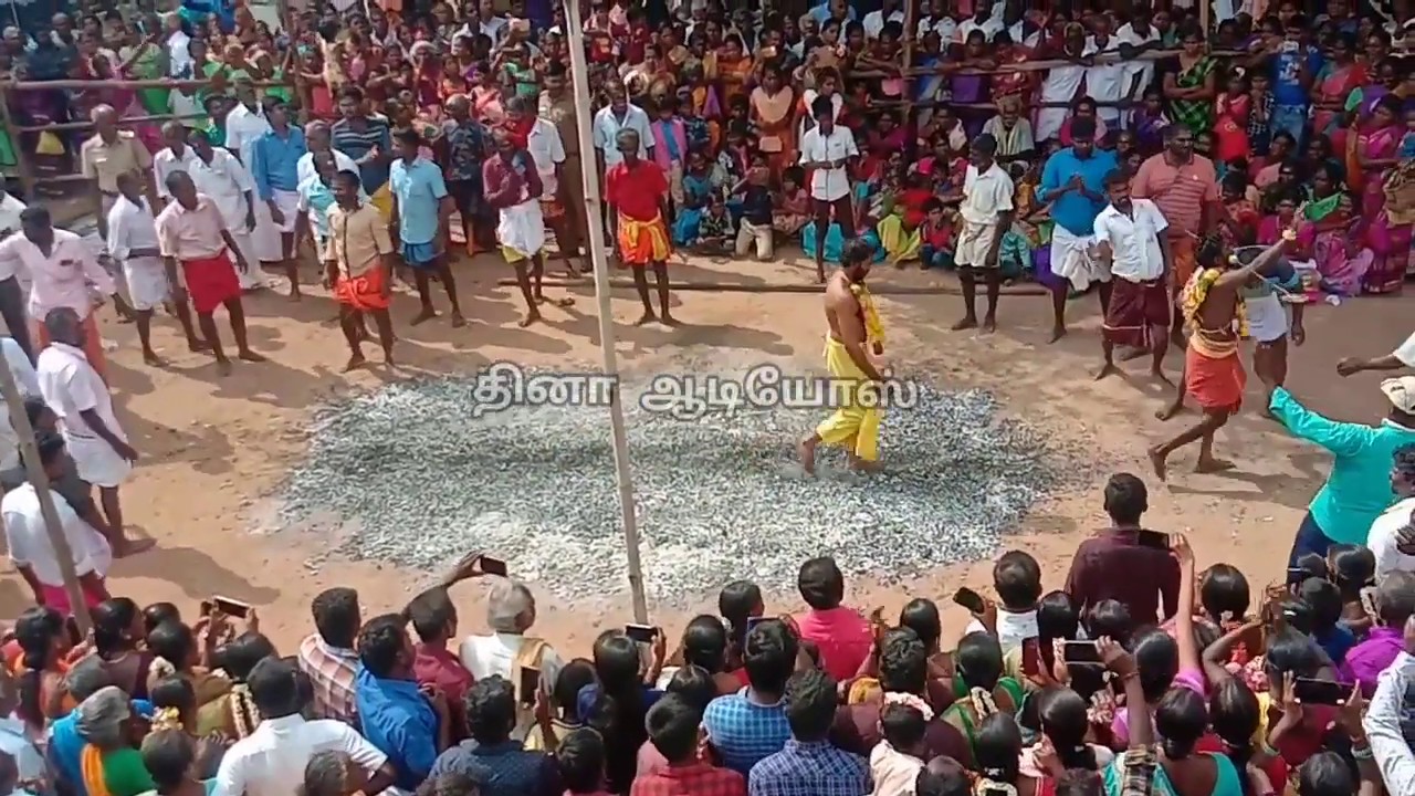 திருவள்ளூர் ஸ்ரீ சங்கையா கோவிலின் பூக்குழி விழா | Maha Shivratri 2020 | Thiruvallur Sangaiya Kovil