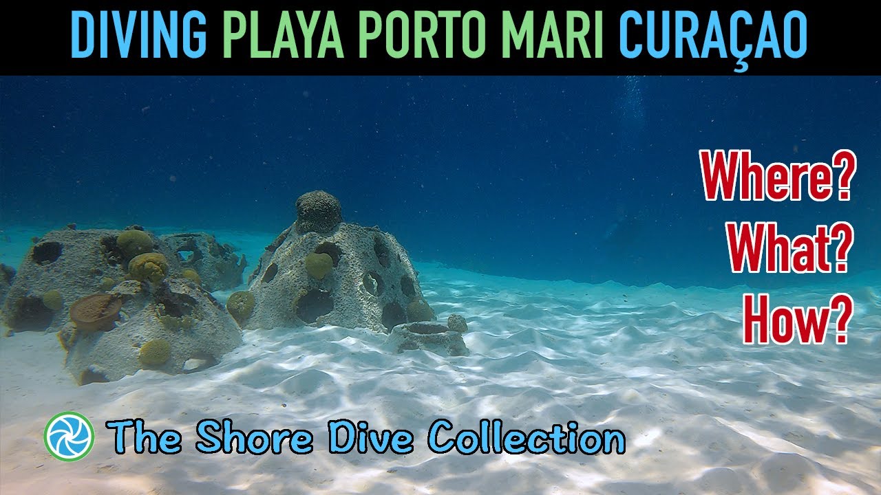 Diving Playa Porto Mari Curaçao | The Shore Dive Collection | TropicLens - 4K