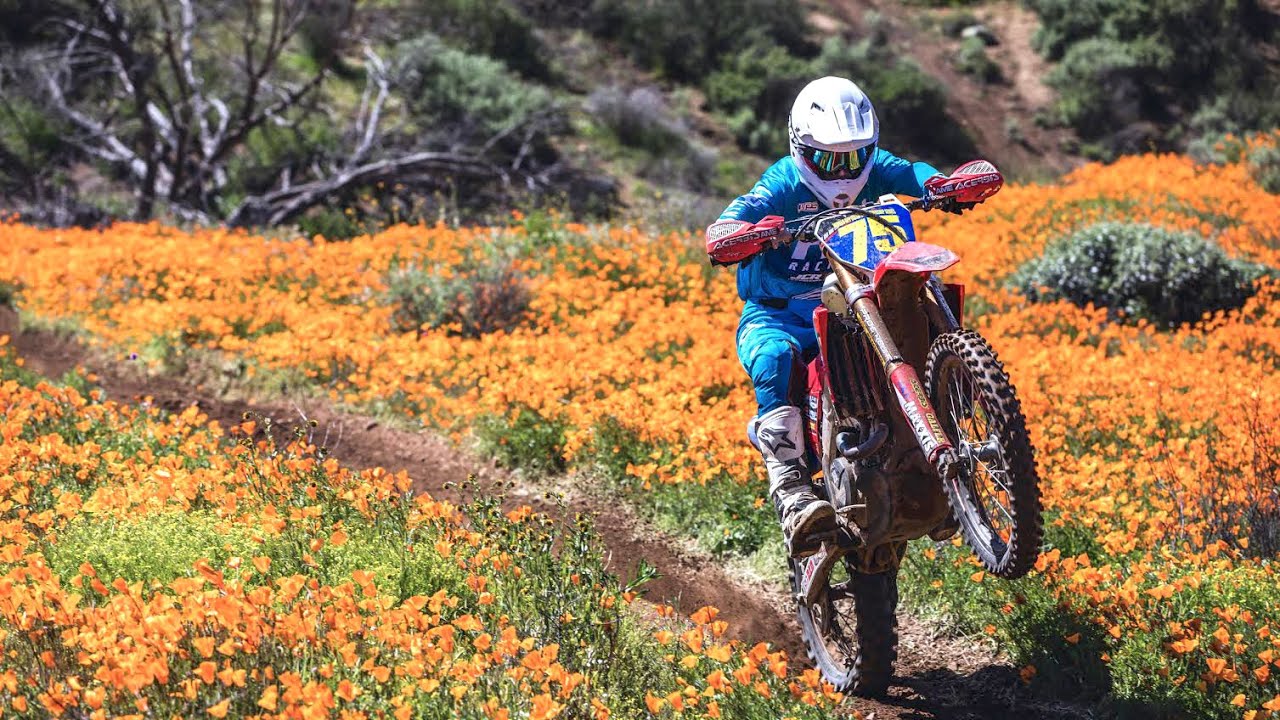 Trevor Stewart 'The Red Perspective' Ep. 3