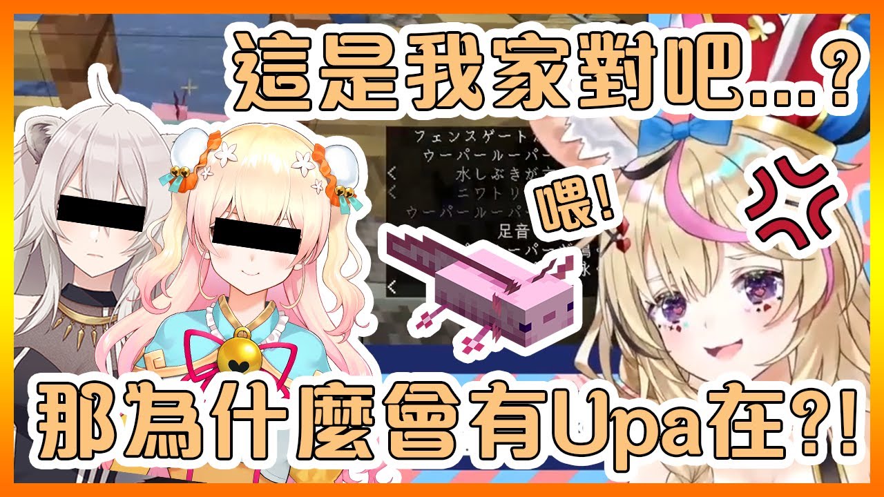 波爾卡對自己家被獅白和音音變成蠑螈養殖場的反應【Hololive中文】