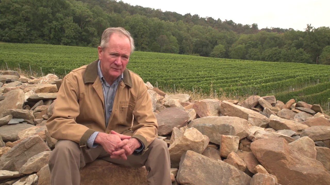 Boordy Vineyards - Wines with Soul