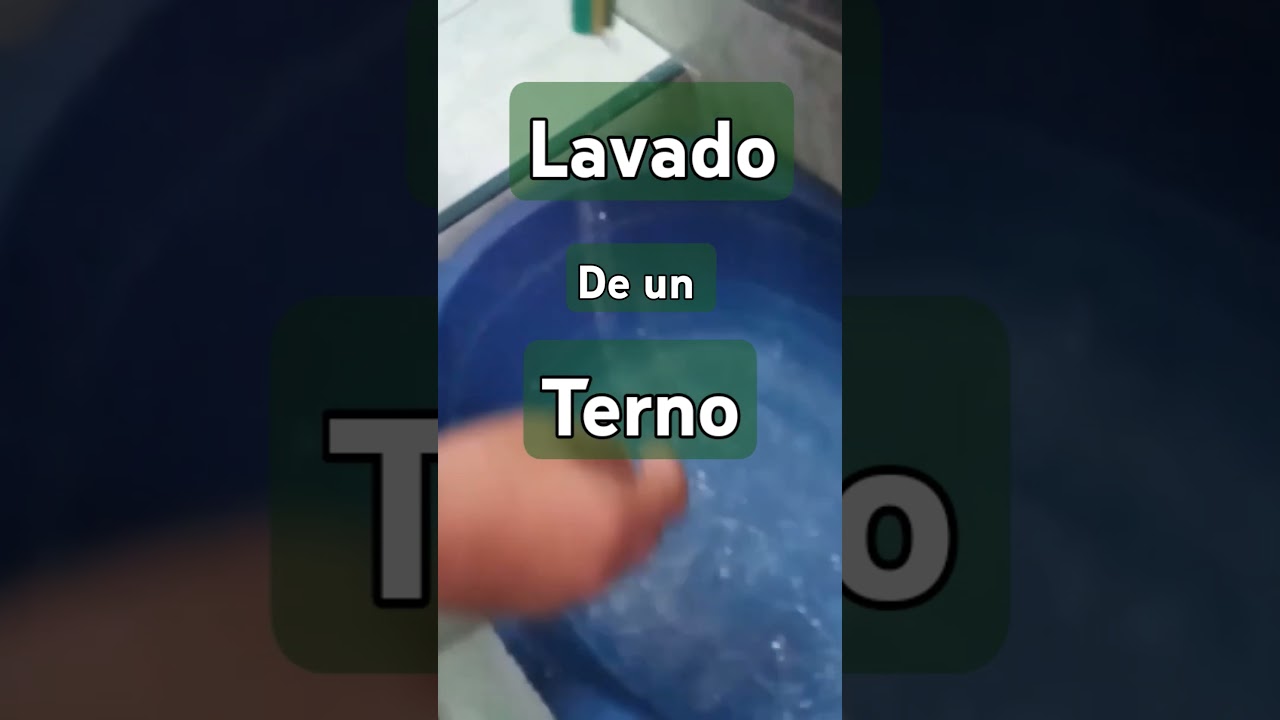 lavado de un terno #emprendeconjuanca