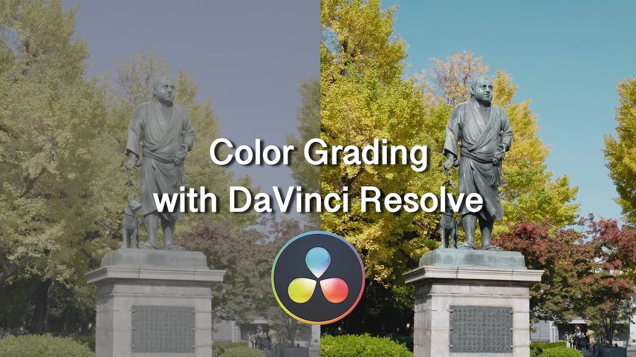 【Panasonic Lumix S5】カメラの設定 & LOG撮影のカラー編集 Color Grading with DaVinci Resolve
