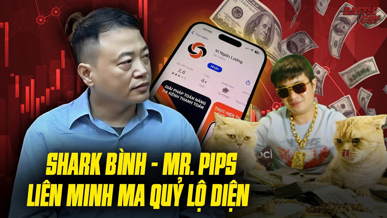 SHARK BÌNH BỊ CÁO BUỘC RỬA TIỀN CHO ĐƯỜNG DÂY LỪA ĐẢO CỦA MR PIPS - HÓA RA ĐÂY LÀ LONG MẠCH Ư !