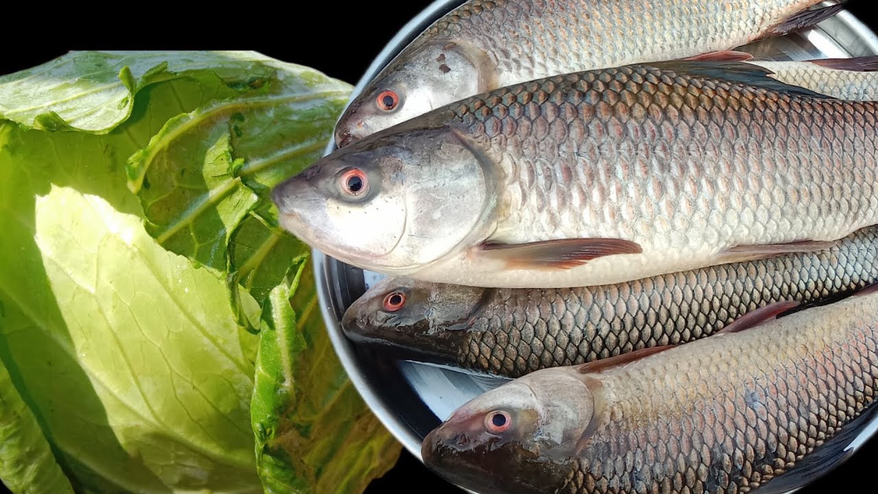 রুইমাছ আর বাঁধাকপি দিয়ে বানিয়ে নিন অসাধারণ স্বাদের এই রেসিপি ।