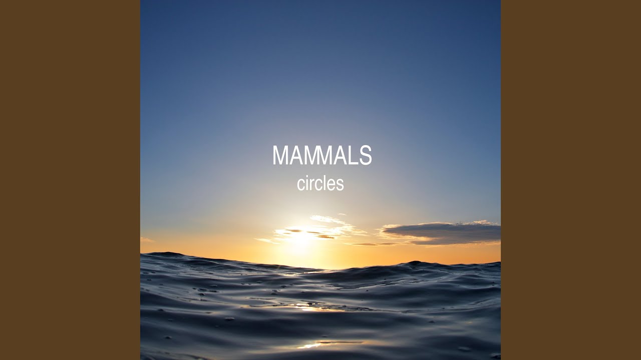 Circles