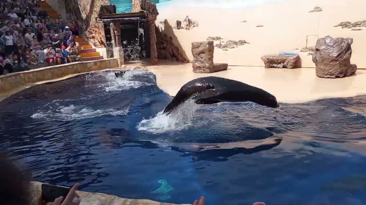 Visita a Mundomar