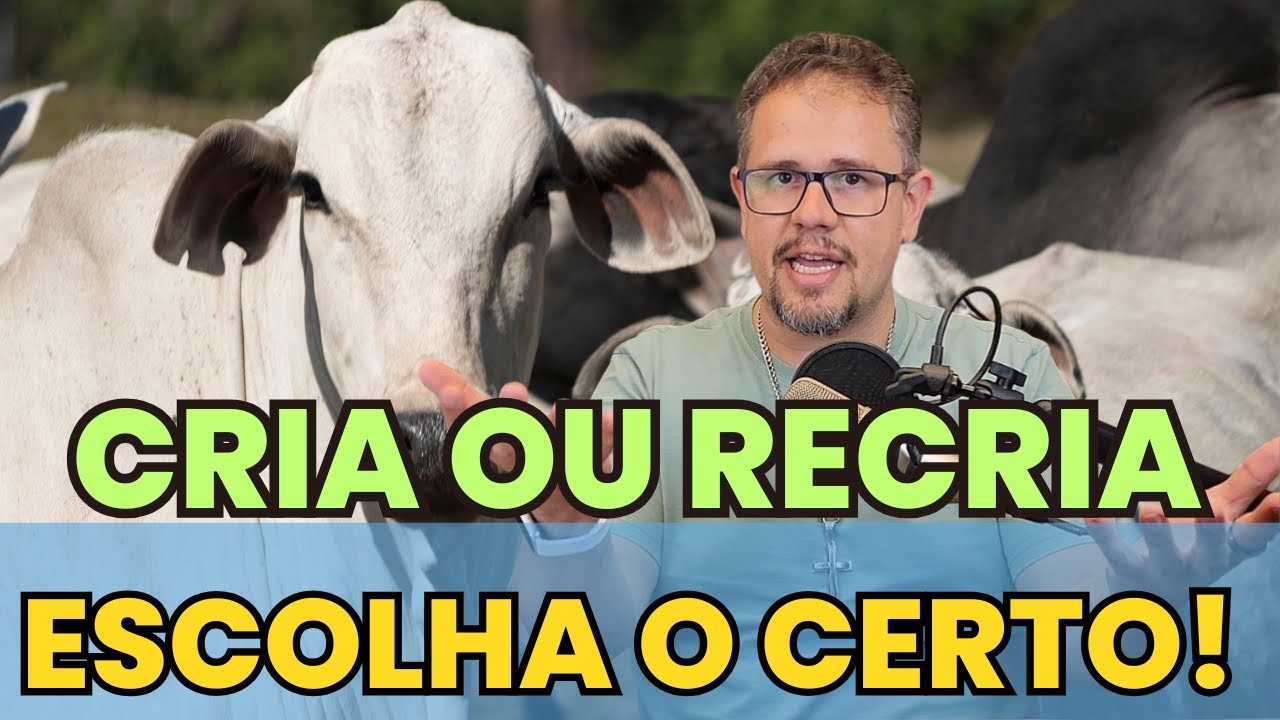 Sistema de CRIA ou RECRIA:  Qual gera MAIS LUCRO?