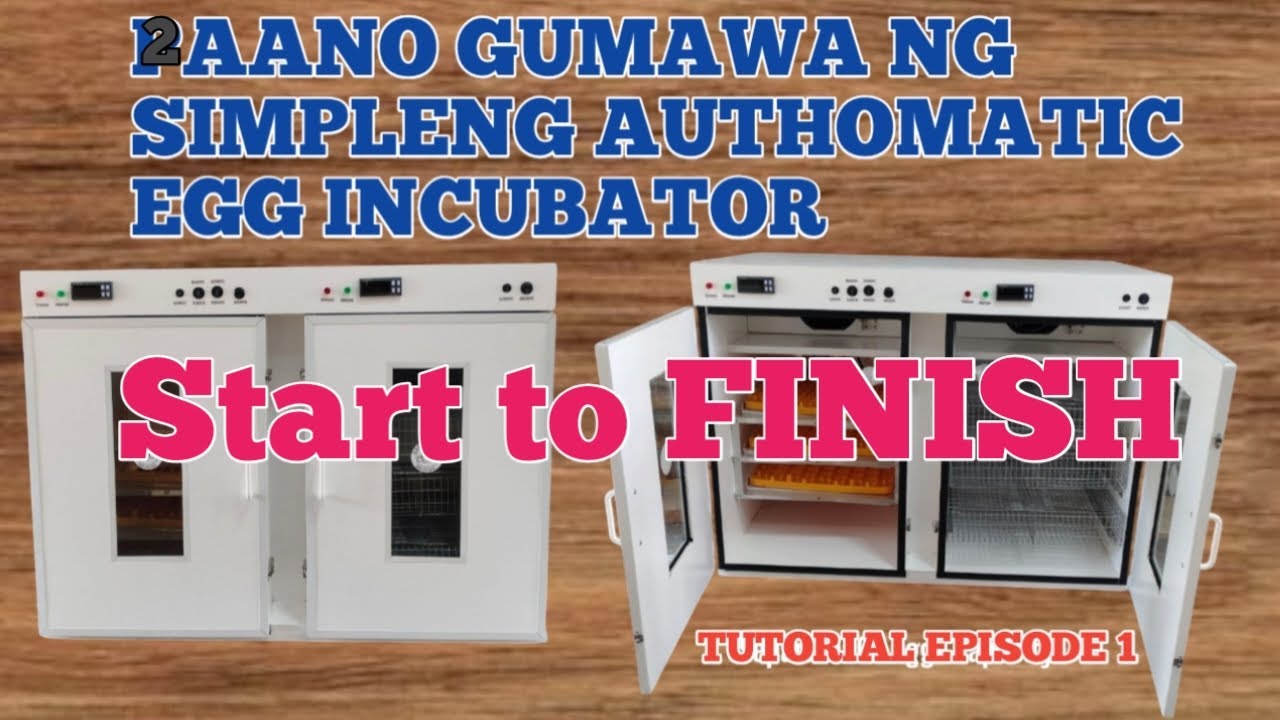 Diy automatic egg incubator