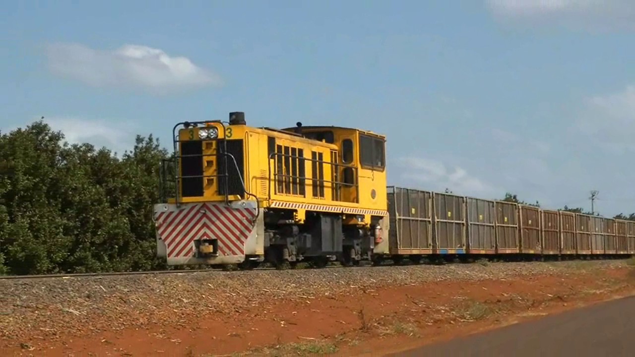 2016 Cane Pt 1 Isis Central Mill
