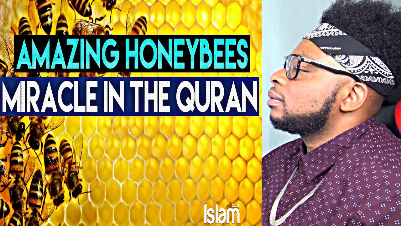 How Honeybees Prove The Existence of Allah (Must Watch!)