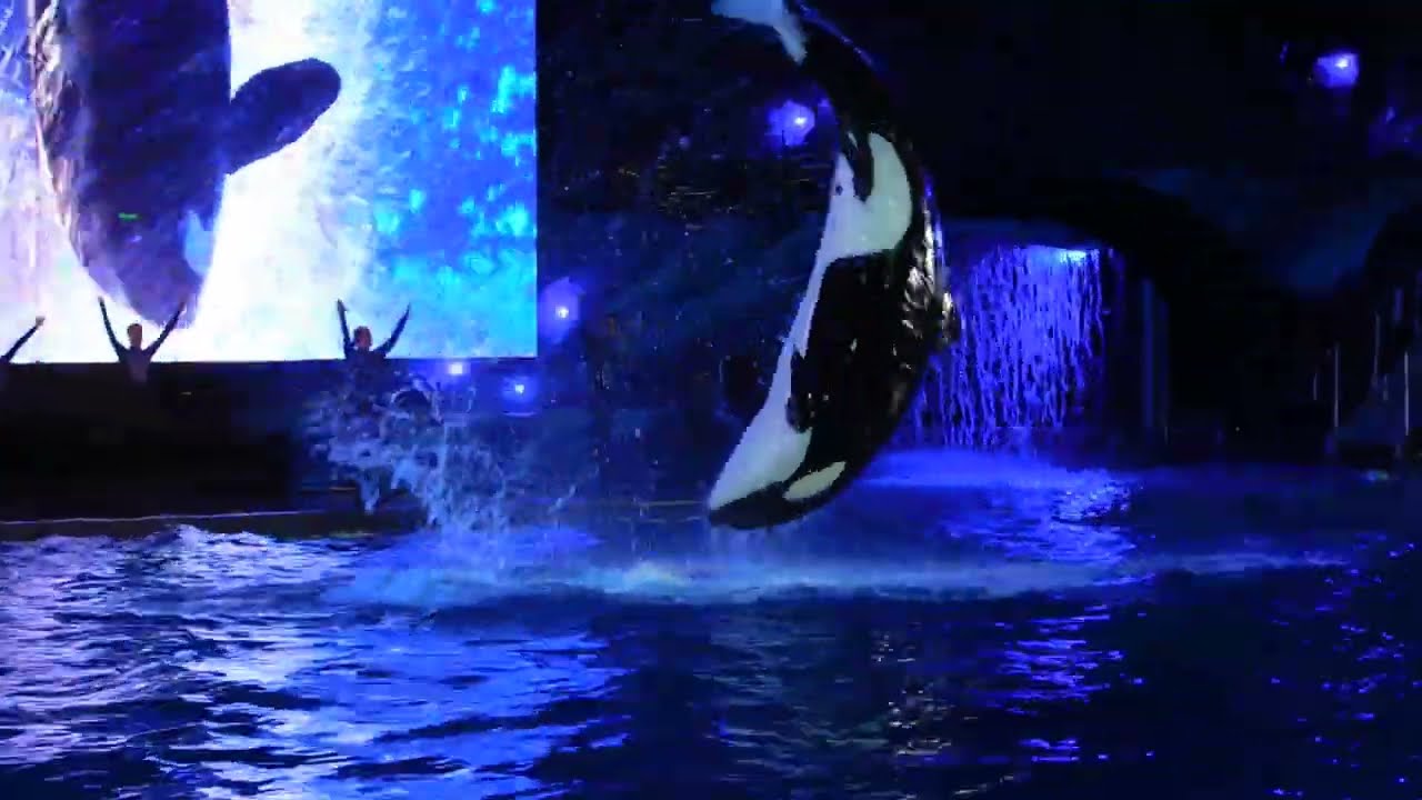 Make a splash