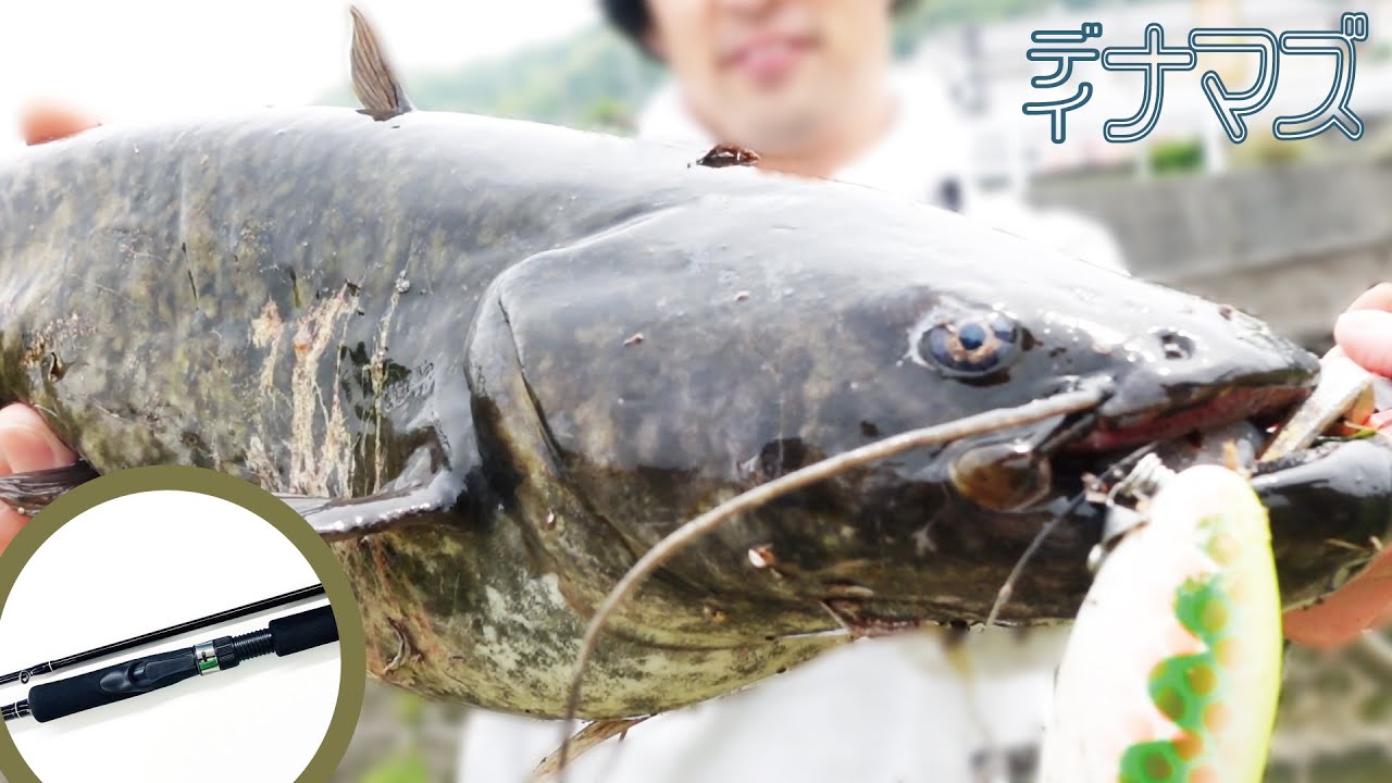 【ナマズ釣り】スピニングタイプの試作ナマズロッドで本気の実釣テスト！