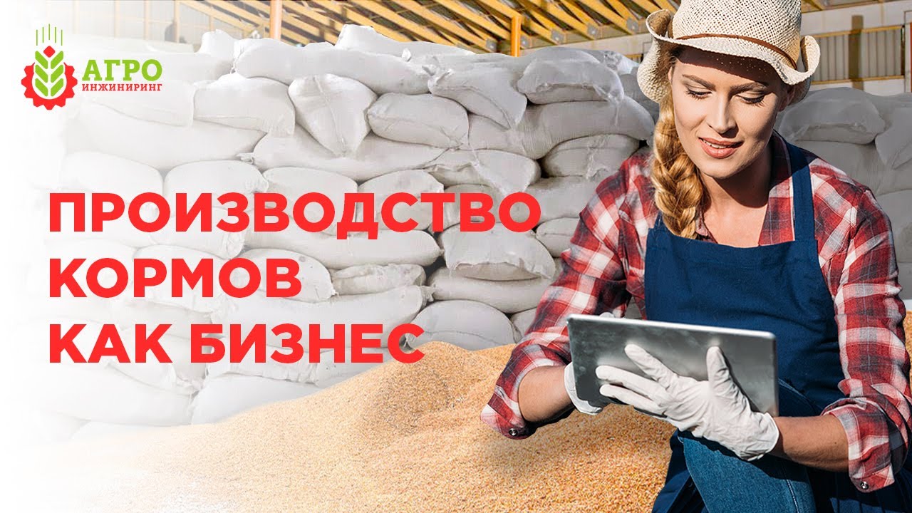 Бизнес на кормах. Особенности ведения и проблема выбора оборудования.