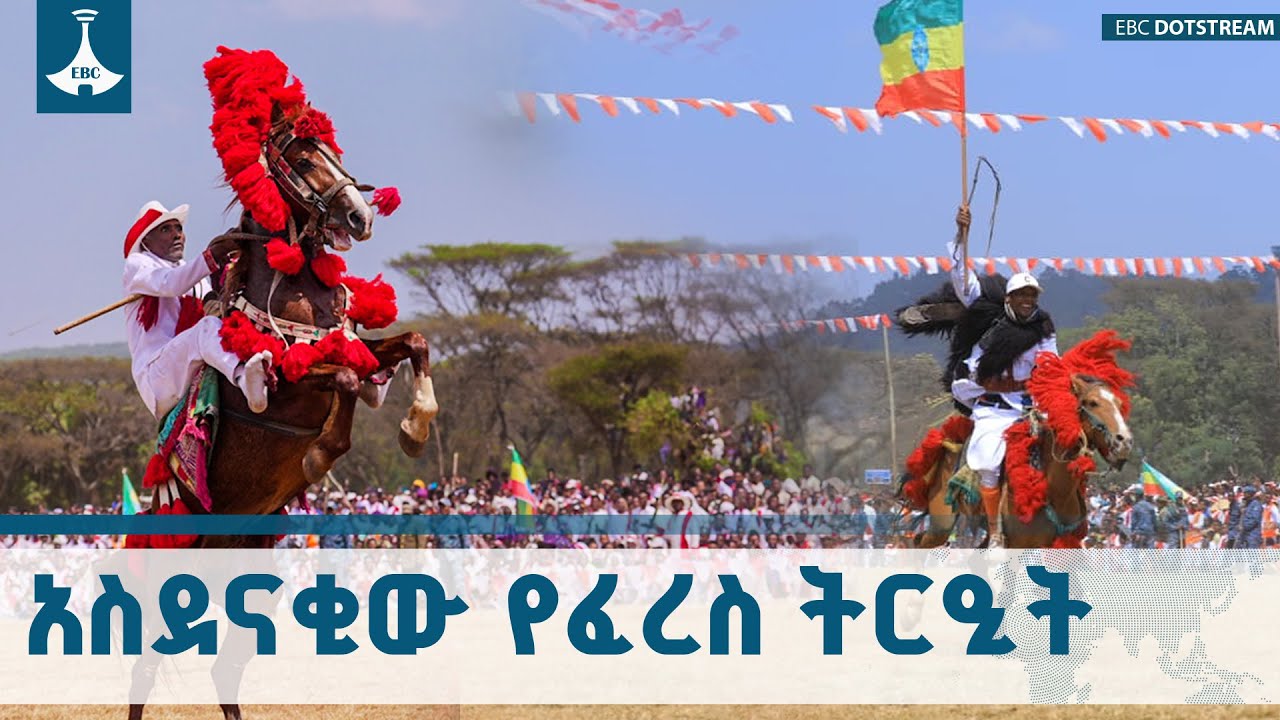 አስደናቂው የፈረስ ትርዒት ETV | EBC | EBCDOTSTREAM
