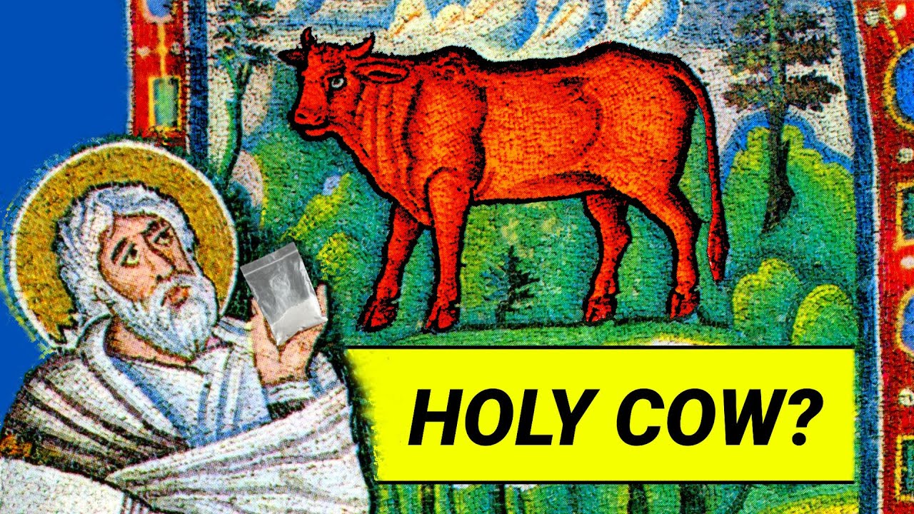 Red Heifer sacrifice was NOT real! Temple Institute BOMBSHELL update