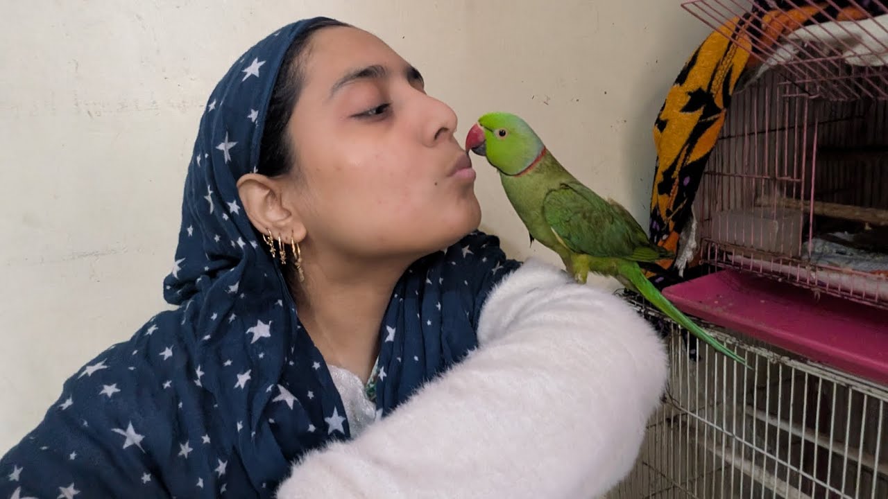 Mitthu & Ghar Walo K Saath Masti 🦜🧑‍🧑‍🧒‍🧒