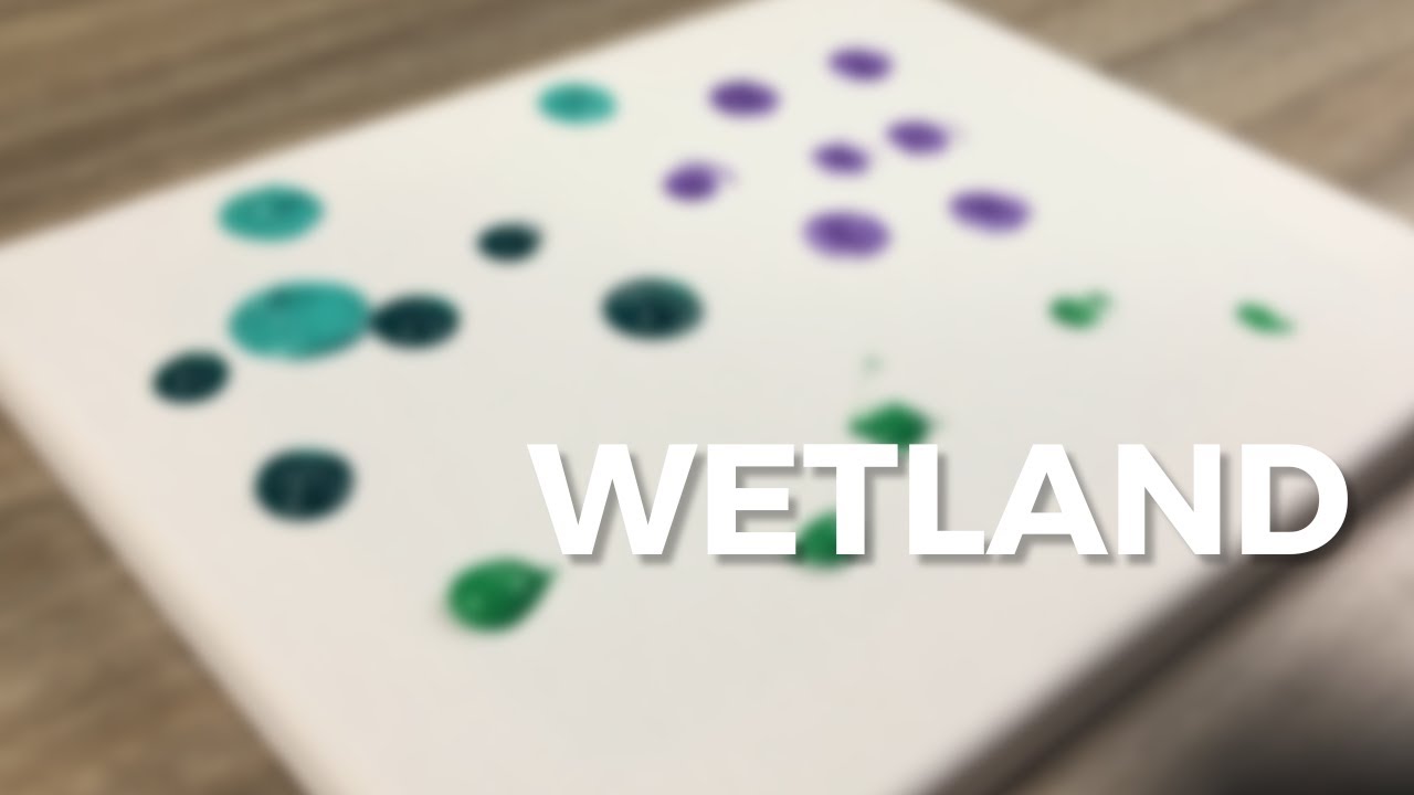 Wetland | Step-by-Step Acrylic Painting | Acrylic Painting Tutorial