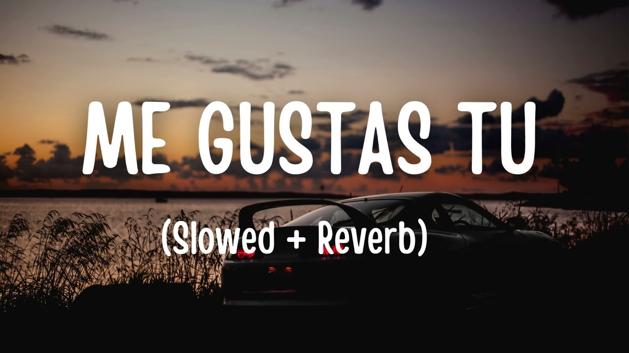 ME GUSTAS TU - BY MANU CHAO ( Slowed + Reverb)
