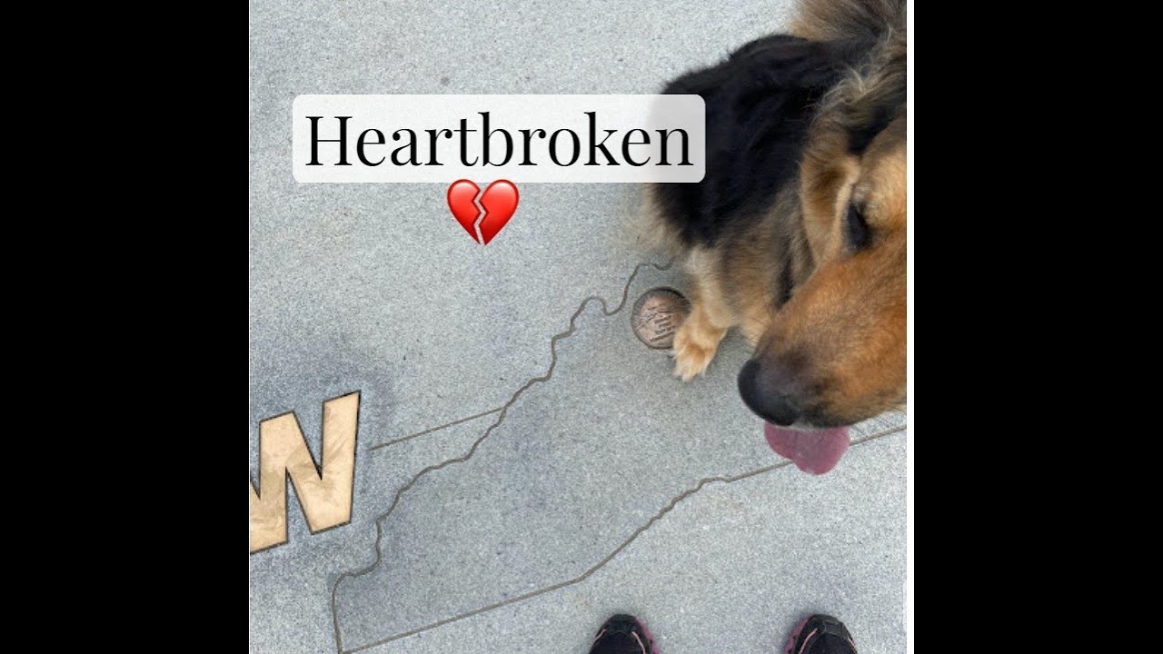 Heartbroken 💔 Remembering WNC/East TN (Before and After Hurricane Helene)