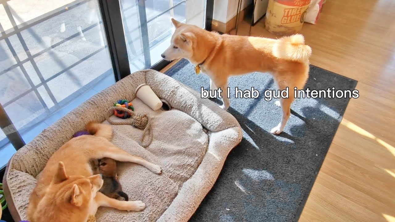 Suki needs to respect boundaries. Raya isn't ok with her being close everytime