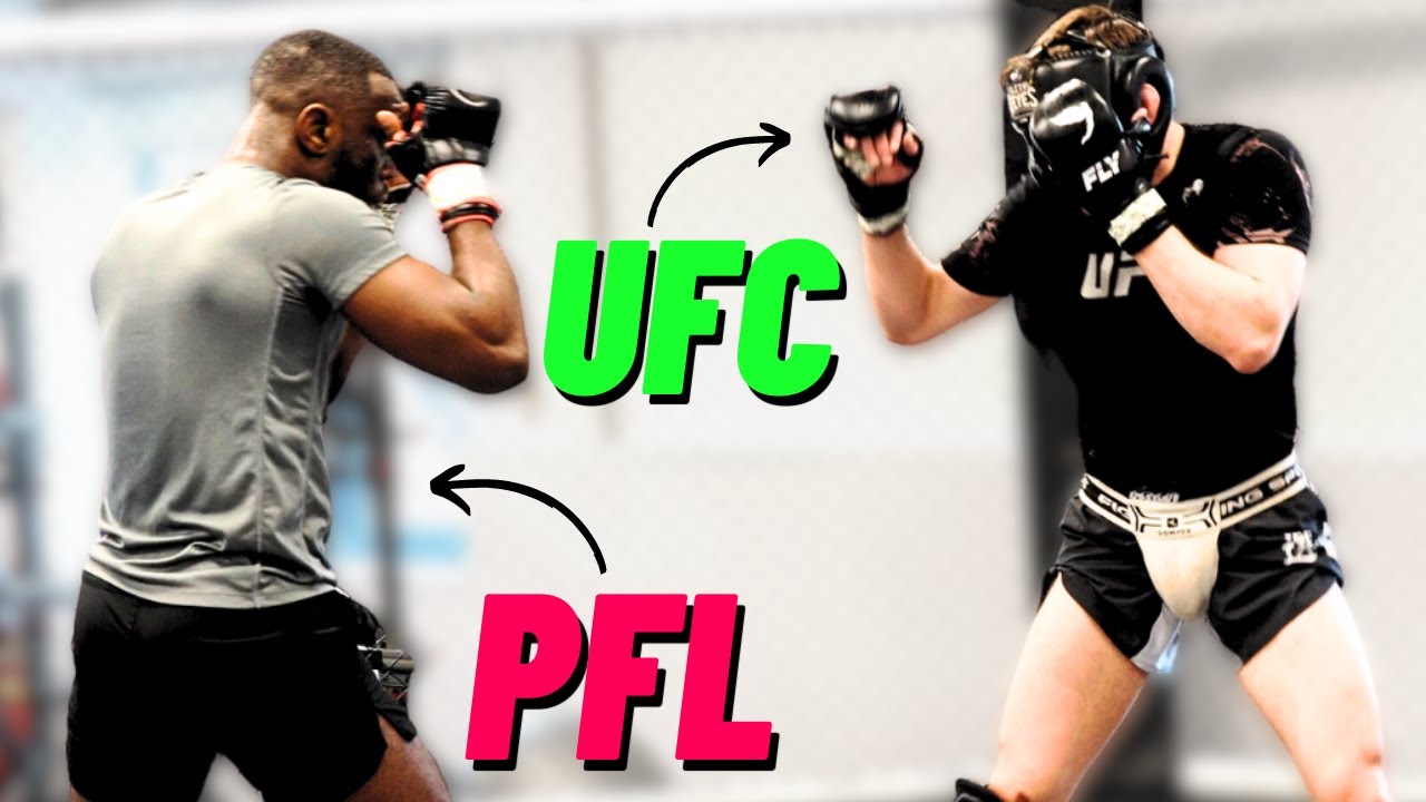 How High Level Pro Fighters Spar