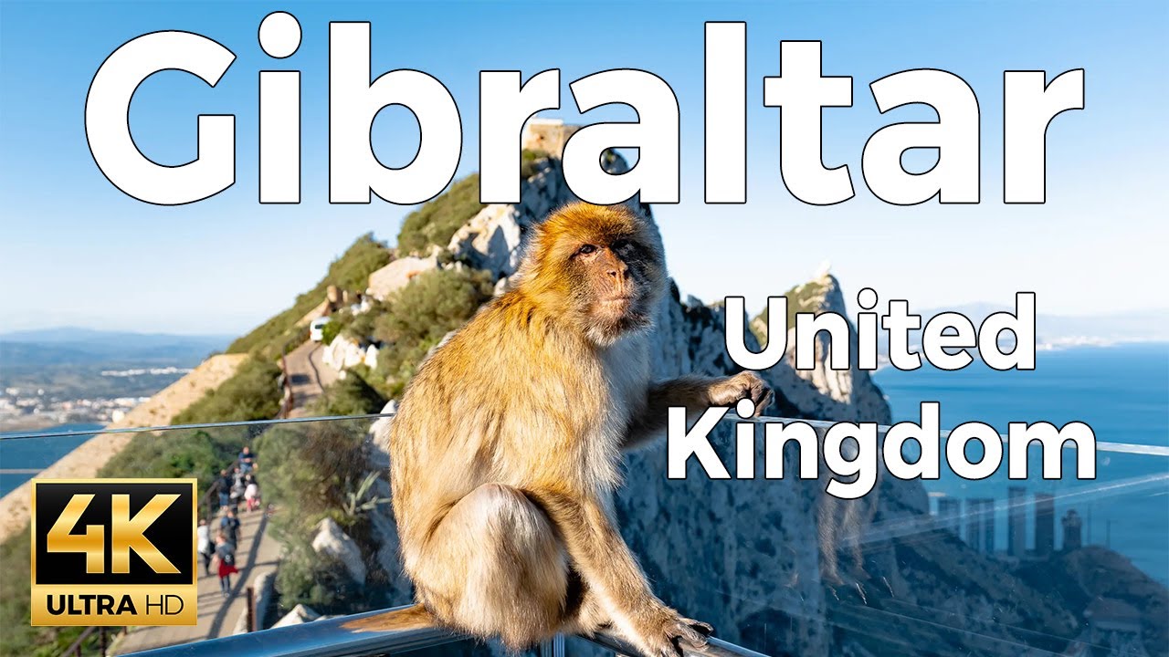 Gibraltar 🇬🇮 The Rock - Summer Walk 2025 4K 60fps (Europe’s Only Wild Monkeys) ​[Binaural ASMR]