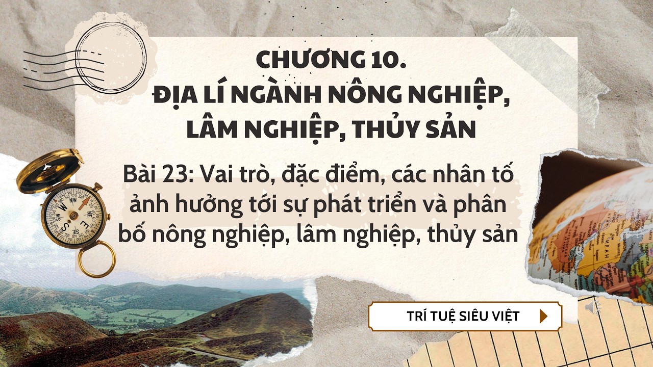 Địa Lý 10 |Chương 10| Bài 23: VAI TRÒ, ĐẶC ĐIỂM, NHÂN TỐ ẢNH HƯỞNG PHÁT TRIỂN VÀ PHÂN BỐ NN, LN, TS