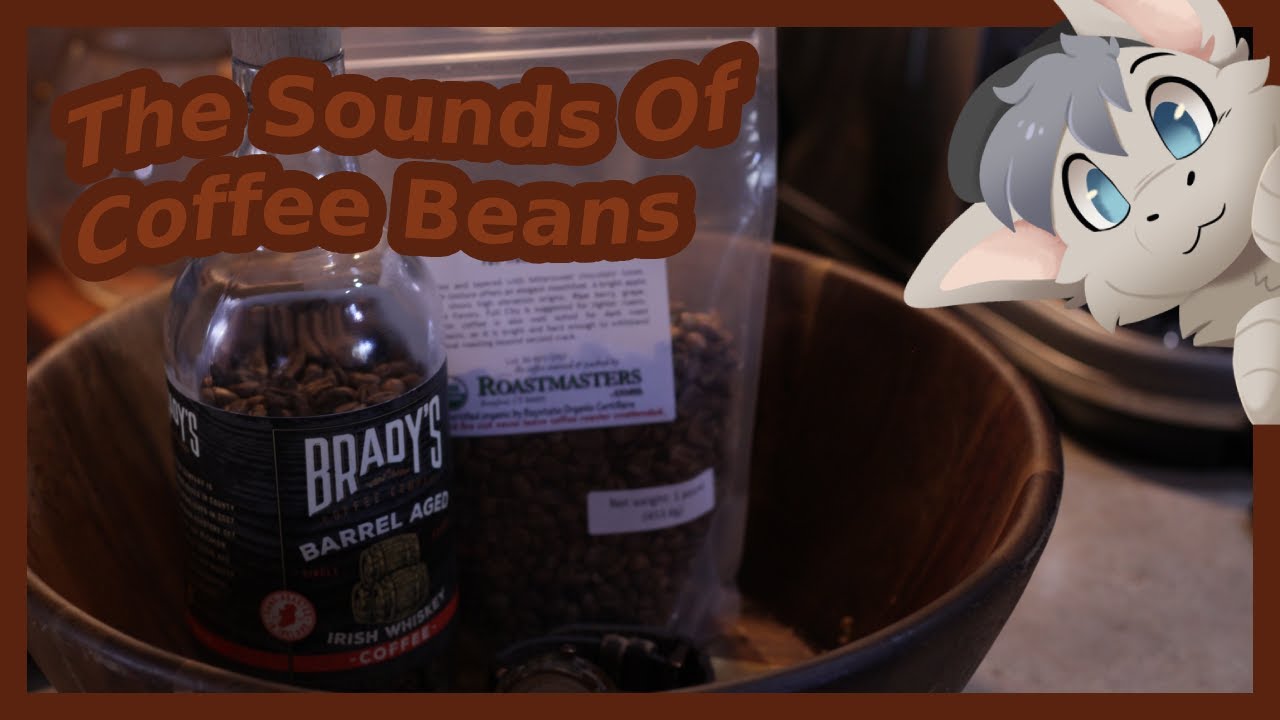 Coffee Beans! | Patron request ASMR (Talking)