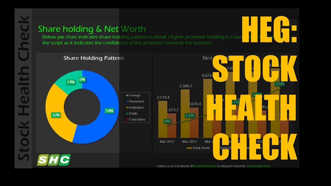 HEG LTD FUNDAMENTAL ANALYSIS STOCK HEALTH CHECK