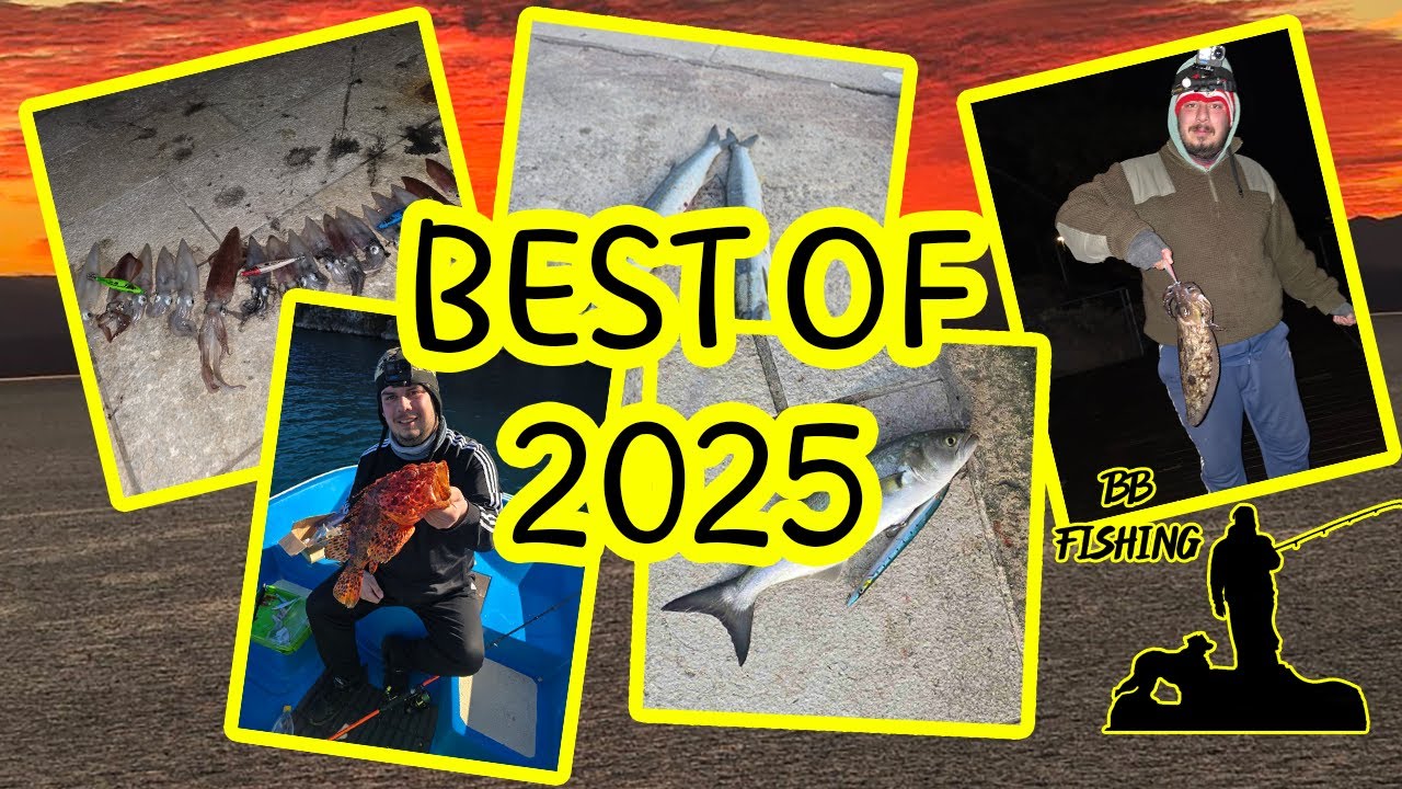 BEST OF 2025
