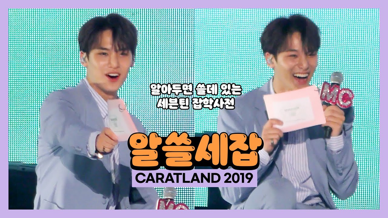 [캐럿랜드 2019] 190308-09 세븐틴 세 번째 팬미팅 SEVENTEEN in CARAT LAND - 알쓸세잡 민규 MOMENT
