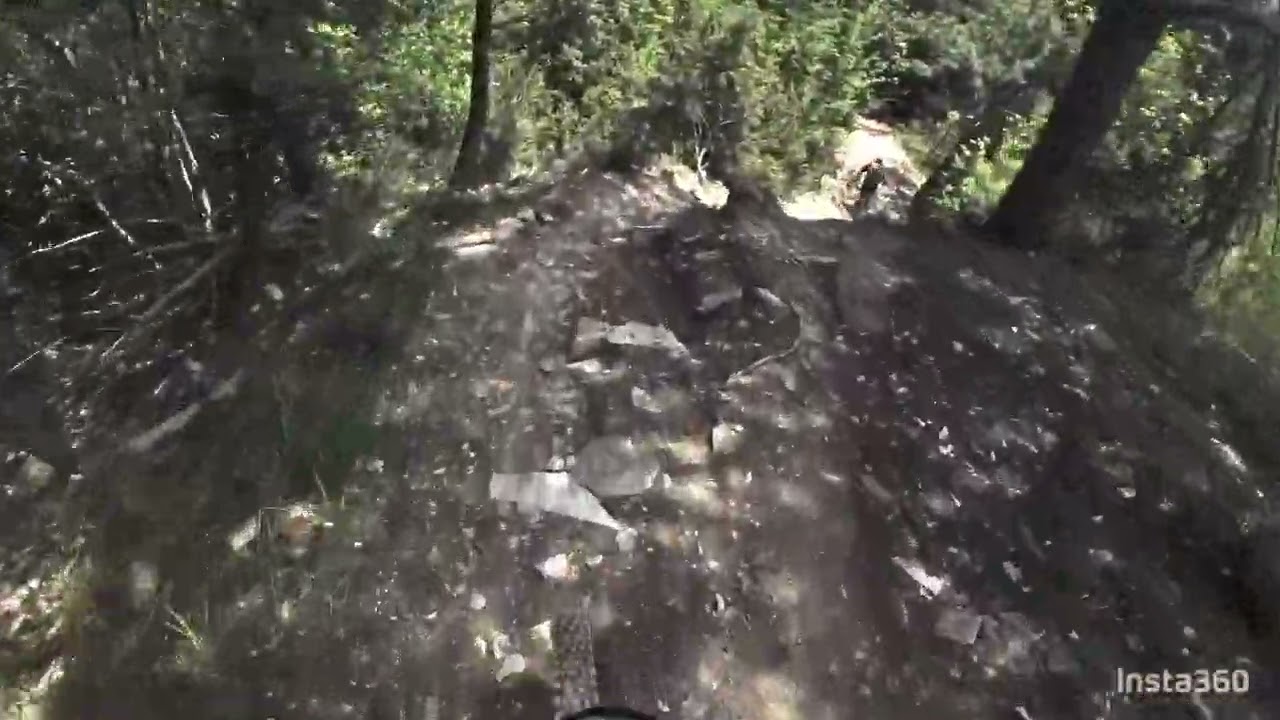 MTB Cesane: 137 Bis