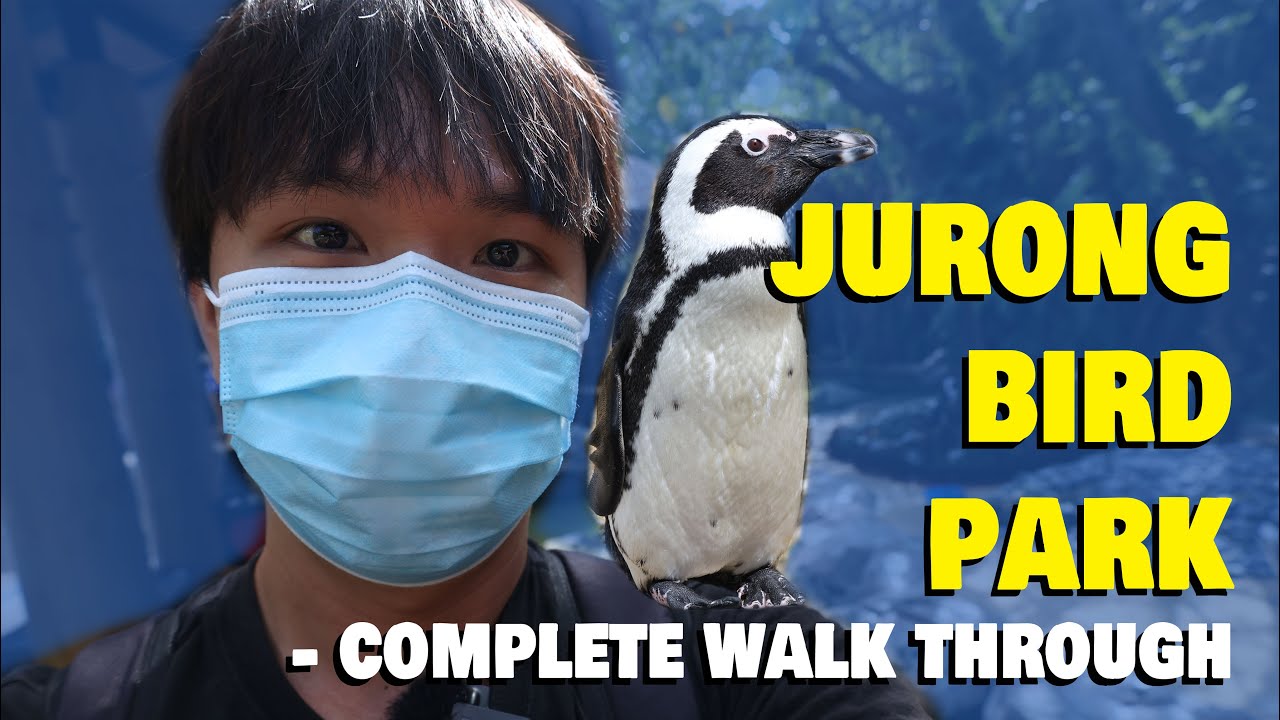 Jurong Bird Park - Jurong Bird Park [Top Video]