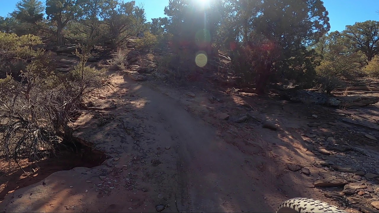 Wire Mesa trail - Utah Wire Mesa 2021