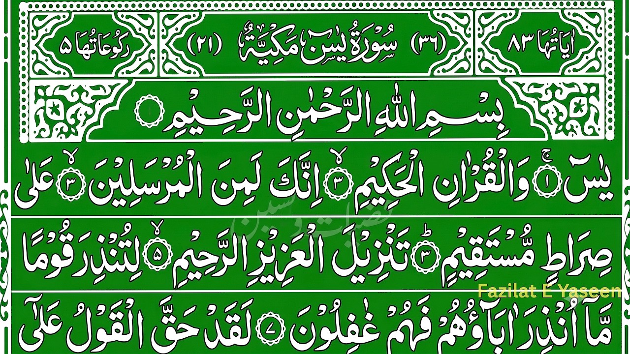 Daily | Surah Yaseen, Ar-Rahman & Al-Mulk | Miracle for Success & Peace | English Translation Ep 059
