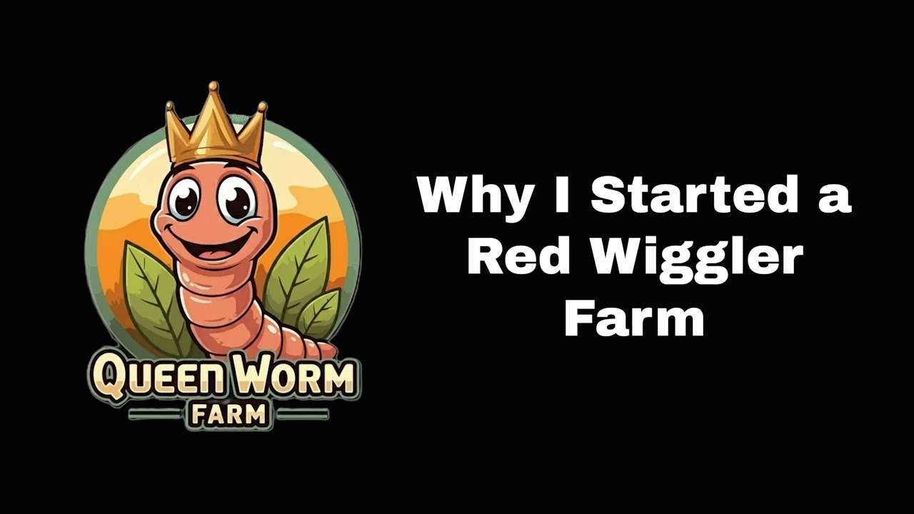 Why I Started a Red Wiggler Farm
