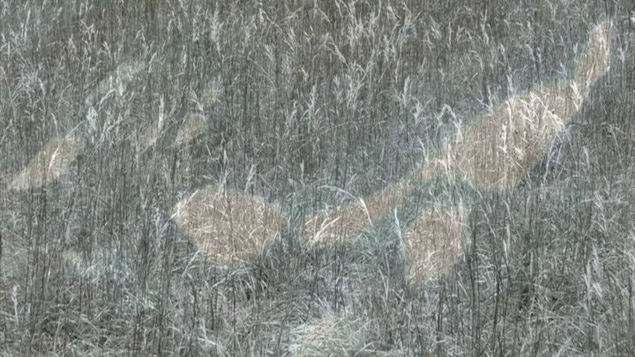 Andrew Heath - The Poet's Dream