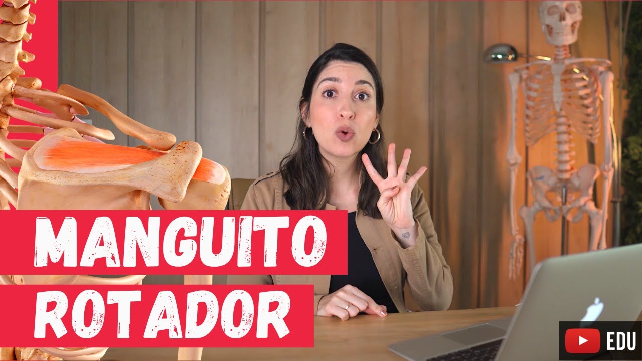 Manguito Rotador: m&uacute;sculos, origem, inser&ccedil;&atilde;o e a&ccedil;&atilde;o!