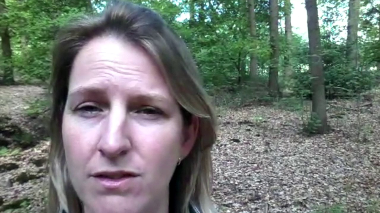 Anneke Otter | Life coach - Wandelcoach - Loopbaancoach in Den Bosch