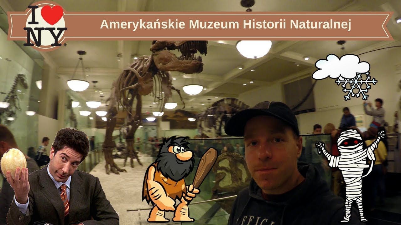 Nowy Jork: Amerykańskie Muzeum Historii Naturalnej