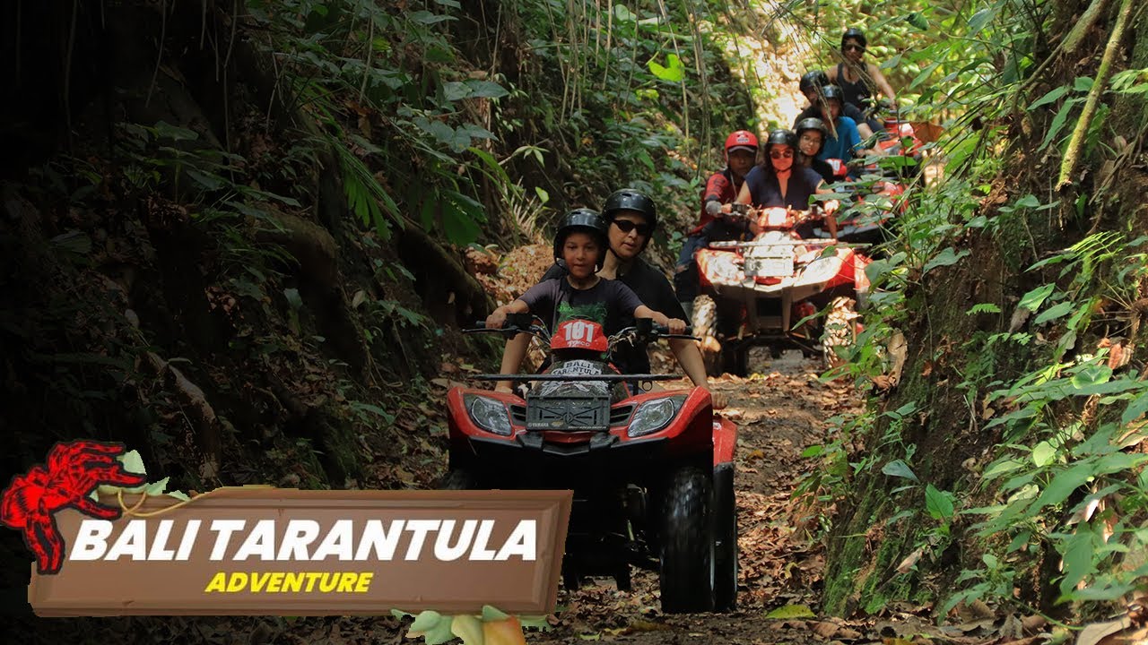 ATV BALI | THE BEST ADVENTURE ATV #1 | BALI TARANTULA ATV