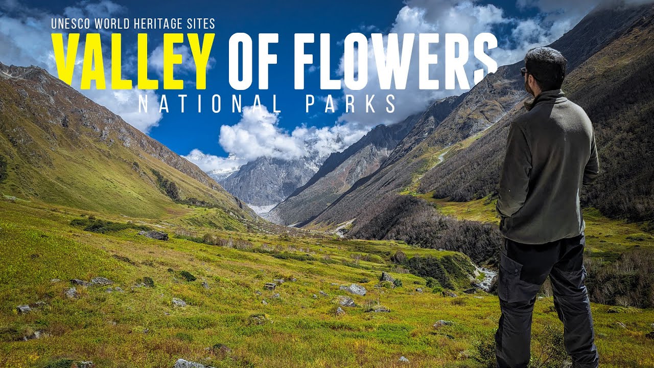 Walking on a Colourful Carpet- Valley of Flowers || UNESCO World Heritage Site || Uttarakhand