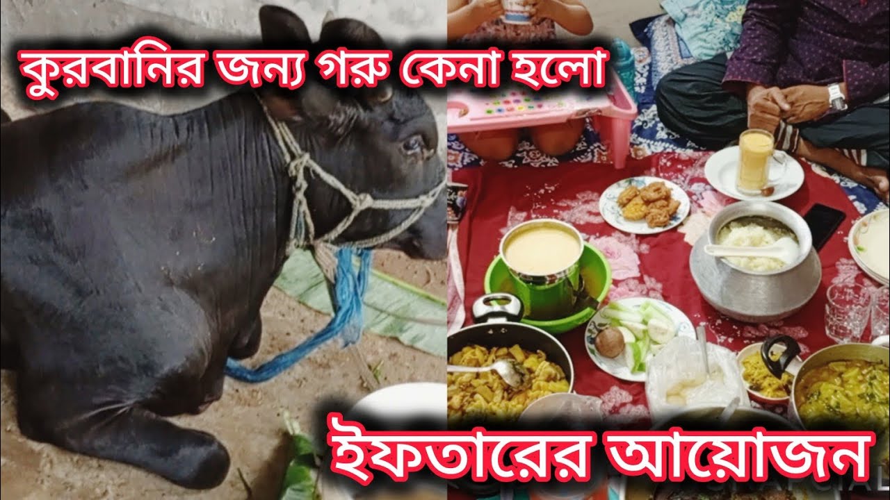 জিলহজ্জের রোজার ইফতার|| কুরবানীর জন্য গরু কেনা হয়ে গেছে আলহামদুলিল্লাহ | Eid-ul-Azha 2025