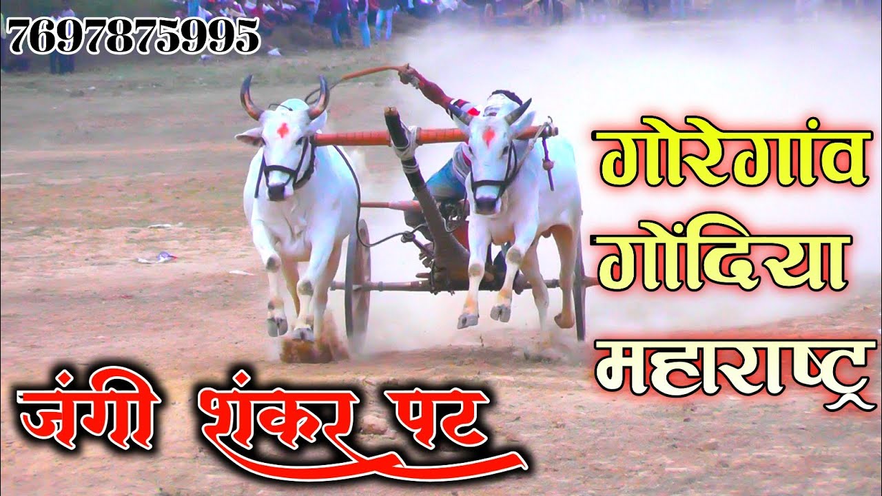 💓💓गोरेगांव गोंदिया शंकर पट महाराष्ट्र💓💓 Goreganw Gondia Pat Pratiyogita😎😎पहला कपल#BarghatiBhaiyaPat
