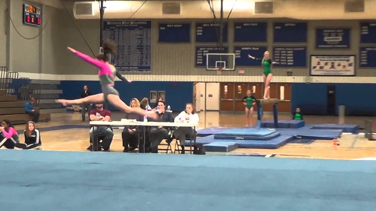 Waukesha gymnastics 12 18 14