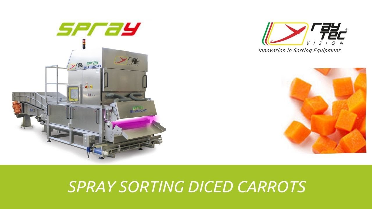 Spray sorting machine for diced carrots | RAYTEC VISION SpA